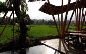 Туры в отель Wadari Retreat Villa Ubud