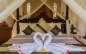 Туры в отель Menzel Ubud
