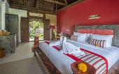 Туры в отель Menzel Ubud