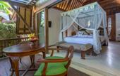 Туры в отель Menzel Ubud