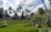 Туры в отель Menzel Ubud