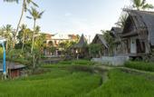 Туры в отель Menzel Ubud