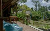 Туры в отель Menzel Ubud