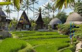 Туры в отель Menzel Ubud