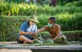 Туры в отель Menzel Ubud