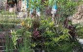 Туры в отель Menzel Ubud