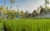 Туры в отель Menzel Ubud
