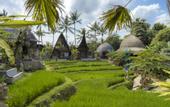 Туры в отель Menzel Ubud