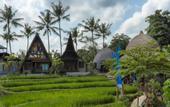 Туры в отель Menzel Ubud