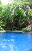 Туры в отель Budhi Ayu Villas Ubud