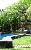 Туры в отель Budhi Ayu Villas Ubud