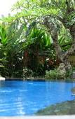 Туры в отель Budhi Ayu Villas Ubud