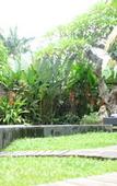 Туры в отель Budhi Ayu Villas Ubud