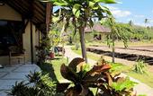 Туры в отель Hotel Uyah Amed & Spa Resort