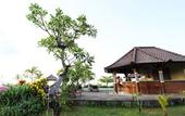 Туры в отель Hotel Uyah Amed & Spa Resort