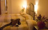 Туры в отель Hotel Novecento
