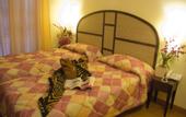Туры в отель Hotel Novecento