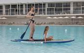 Туры в отель AVA Resort Cancun