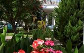 Туры в отель Muskebi Apart Hotel