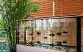 Туры в отель Amber Shore Collection