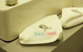 Туры в отель Bird Nest Suites