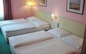 Туры в отель Scherer Hotel
