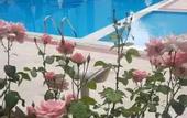 Туры в отель Uyum Otel