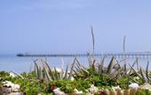 Туры в отель Flamenco Beach Resort