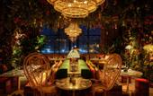 Туры в отель Mama Shelter Dubai