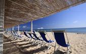 Туры в отель Flamingo Resort