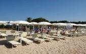 Туры в отель Flamingo Resort