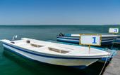 Туры в отель Bin Majid Flamingo Beach Resort