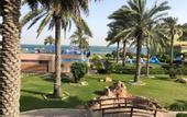 Туры в отель Bin Majid Flamingo Beach Resort