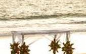 Туры в отель Flamingo Beach Resort