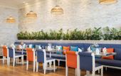 Туры в отель Ajman Hotel Luxury Villas