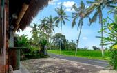 Туры в отель Nawa Sakti Resort