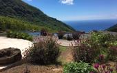Туры в отель Mathis Lodge, Amed