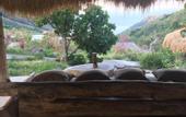Туры в отель Mathis Lodge, Amed