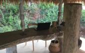 Туры в отель Mathis Lodge, Amed