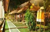 Туры в отель Fullmoon Villa Ubud