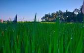 Туры в отель Fullmoon Villa Ubud