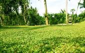 Туры в отель Fullmoon Villa Ubud