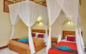 Туры в отель Nick's Homestay