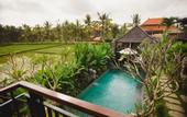 Туры в отель Taman Amartha Ubud