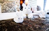 Туры в отель LK Grand Empire