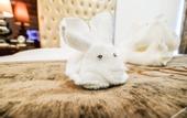 Туры в отель LK Grand Empire