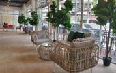 Туры в отель Diva Boutique Hotel