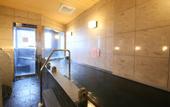 Туры в отель APA Hotel Asakusa Kuramae
