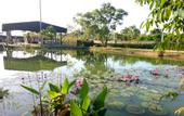 Туры в отель Hivetel Phuket