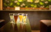 Туры в отель Super Hotel Premier Ginza